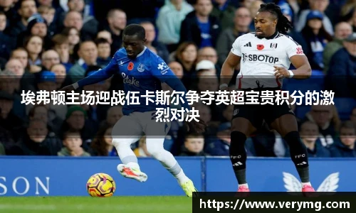 埃弗顿主场迎战伍卡斯尔争夺英超宝贵积分的激烈对决